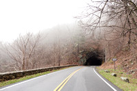 Shenandoah 100