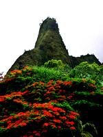 Iaho Needle, Maui