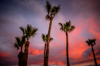 Arizona 124
