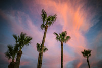 Arizona 129