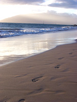 Ocean Footprints