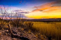 Big Bend Favs 2-105